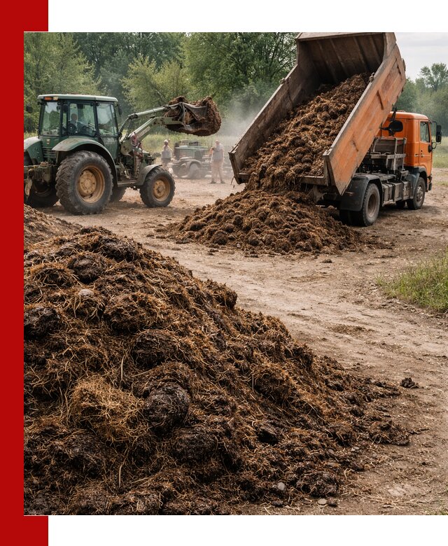 Доставка навоза самосвалами в Вязниках для сельхозпотребностей