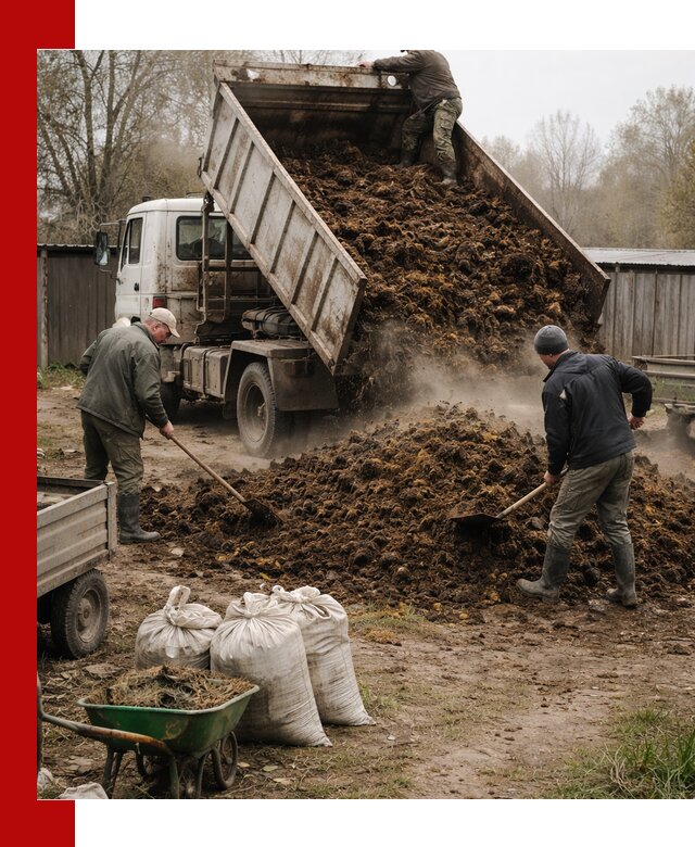 Доставка коровьего навоза самосвалом в Вязниках